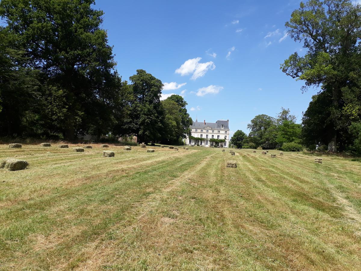 Chambres D'Hotes Chateau De La Puisaye Верней-д'Авре-ет-д'Ітон Екстер'єр фото
